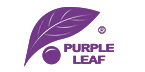 Purple Leaf CA